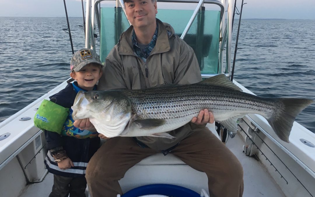 Love Catching These Big Stripers In The North East!