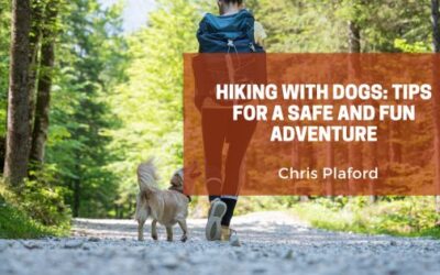 Hiking with Dogs: Tips for a Safe and Fun Adventure