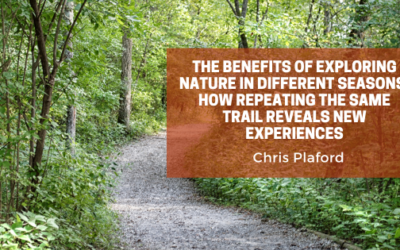 The Benefits of Exploring Nature in Different Seasons: How Repeating the Same Trail Reveals New Experiences