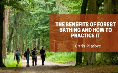 The Benefits of Forest Bathing and How to Practice It