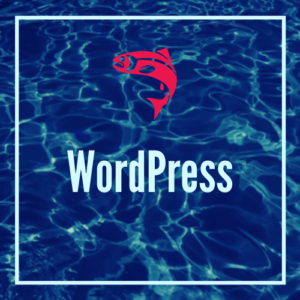 Wordpress Chris Plaford